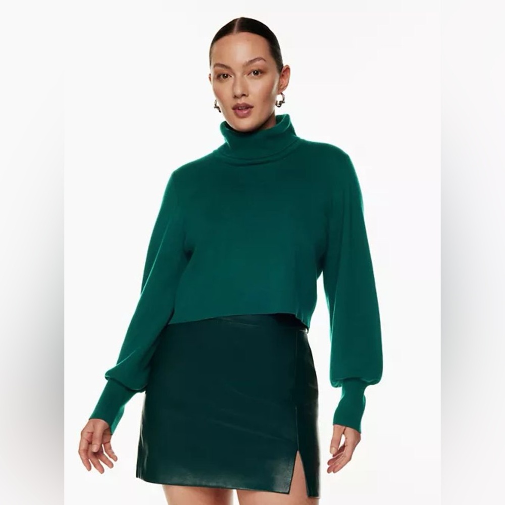 NWT Aritzia Wilfred Rebecca Turtleneck Small